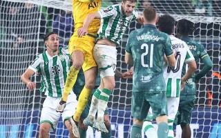 ysbSPORTS-海南主场大胜，球员状态火热