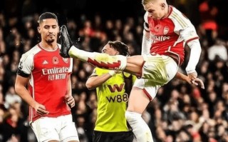 易胜博体育-桑德兰击败热刺，主场表现足够出色