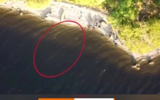 ysbSPORTS-尼斯衰落速度惊人，降级阴影笼罩