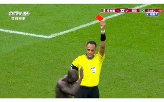 ysbSPORTS-巴西队主教练因红牌离场被罚款