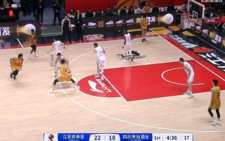 ysbSPORTS-南京队主场告损，战斗状态波动