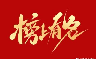 ysbSPORTS-青年才俊登高峰，技压群英笑对胜利