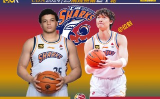 ysbSPORTS-上海队取得关键胜利，晋级半决赛