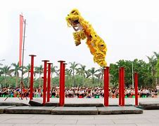 ysbSPORTS-梅花桩背靠背比赛战绩不俗，备受关注-第2张图片-易胜博体育