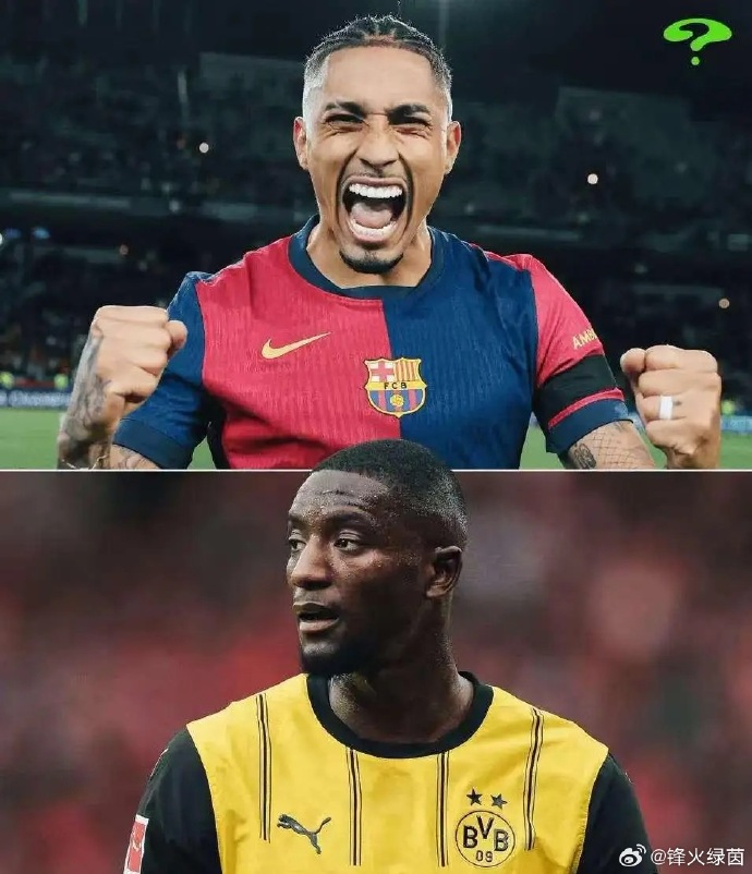 ysbSPORTS-多特蒙德球员因伤休战，球队备战受挫-第1张图片-易胜博体育